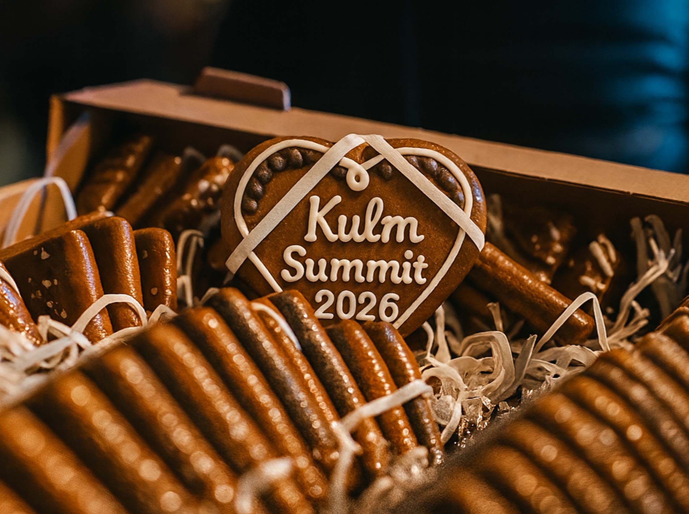 Skifliegen-Kulm-Sonntag-Schanze-summit26-lebkuchen